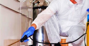Derattizzazioni Disinfestazioni Deblattizzazioni